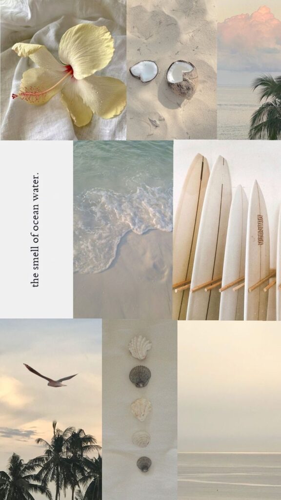 Tropical beach collage: hibiscus, coconuts, surfboards, ocean waves, seashells, palm trees, and sunset sky.