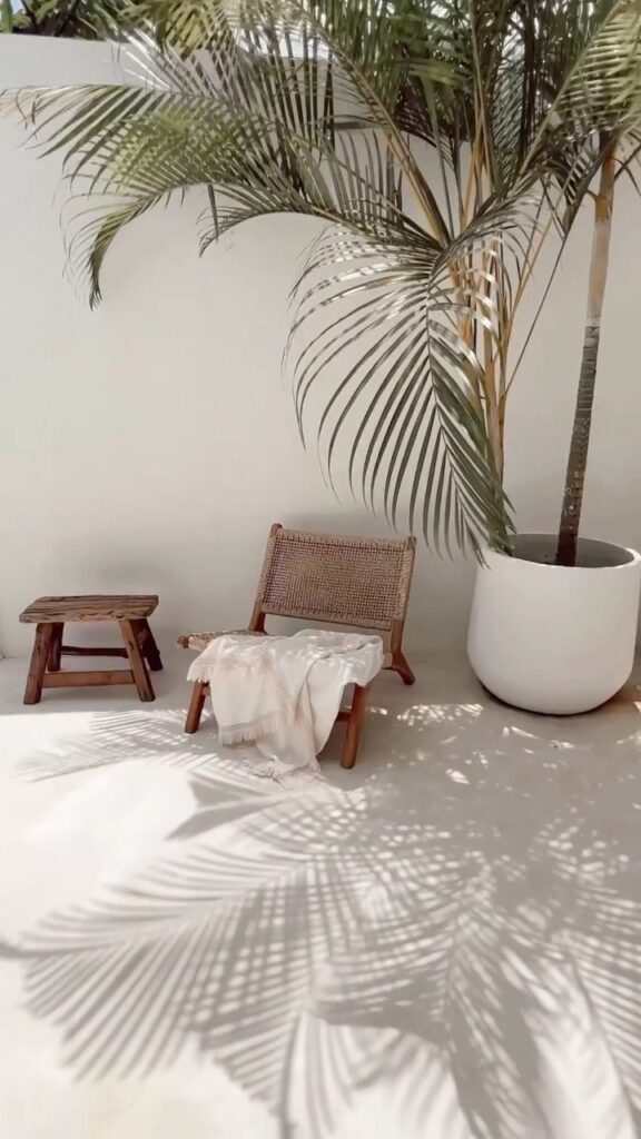 Serene patio with wicker chair, wooden stool, and palm plant casting elegant shadows on a sunlit wall.