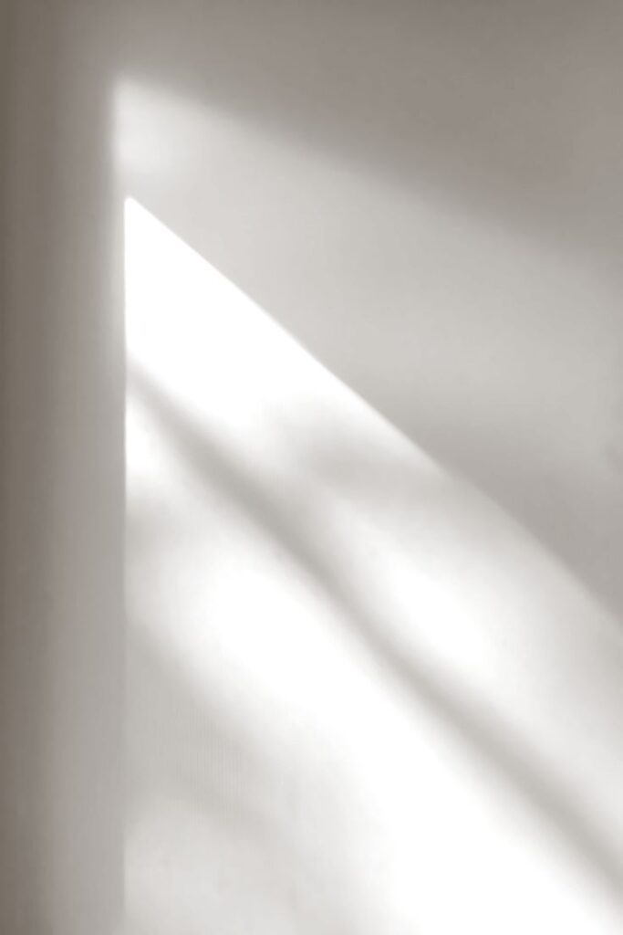 Soft sunlight casts diagonal shadows on a gray wall, creating a minimalist and calming atmosphere.