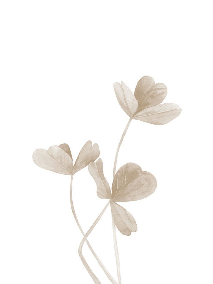 Minimalist watercolor painting of delicate beige clover leaves on white background, showcasing simple botanical elegance.