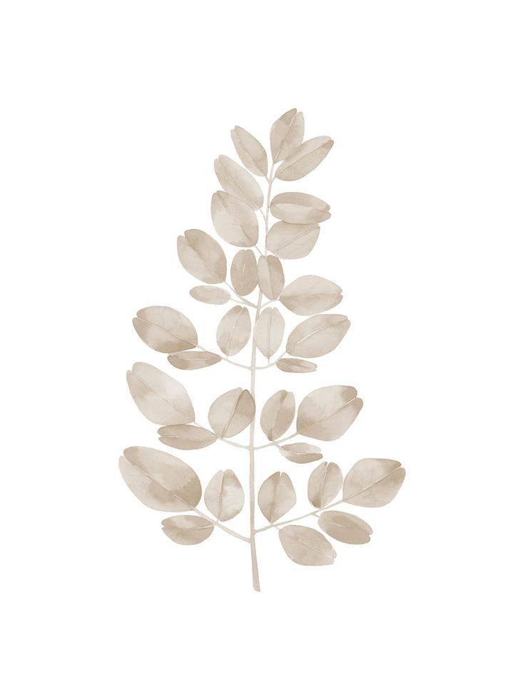 Minimalist watercolor illustration of a beige leafy branch on a white background.