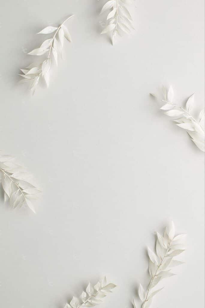 Minimalist background with delicate white leaves on a light gray surface, ideal for elegant designs and text overlays.