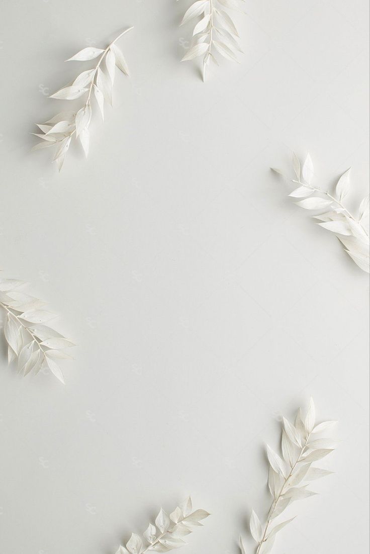 Simple Iphone Wallpaper: Styles, Colors, and Patterns