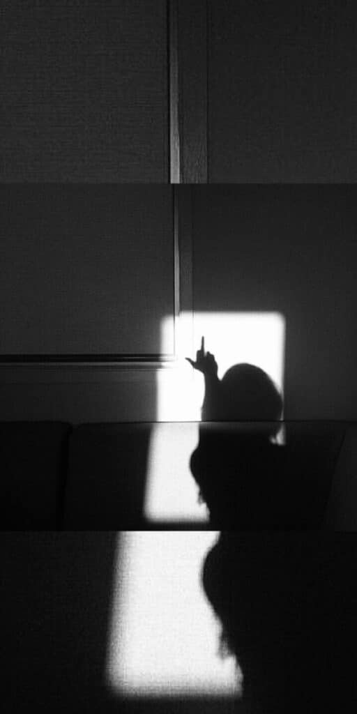 Shadow silhouette of a person pointing at a rectangular beam of light on a wall.