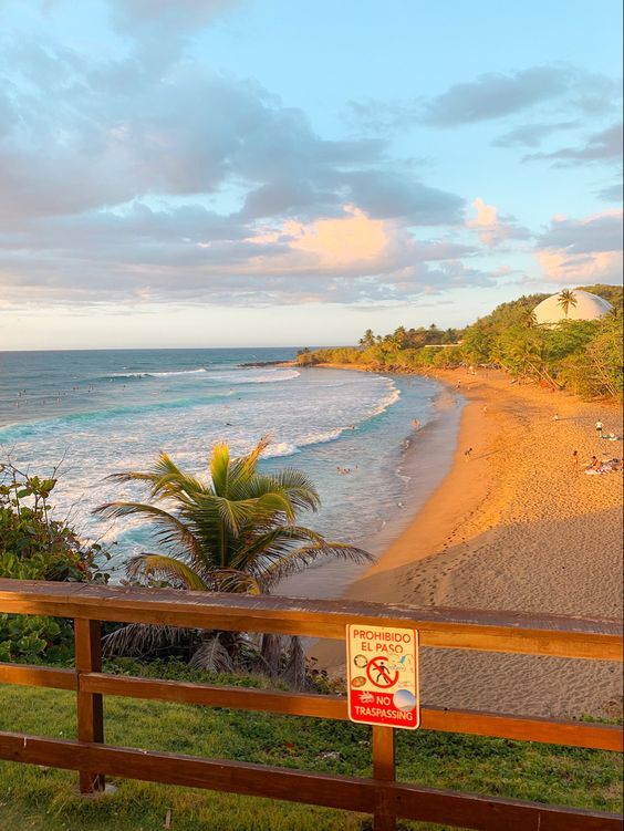 Scenic beach view with golden sand, ocean waves, palm tree, and sunset sky. No trespassing sign in foreground.