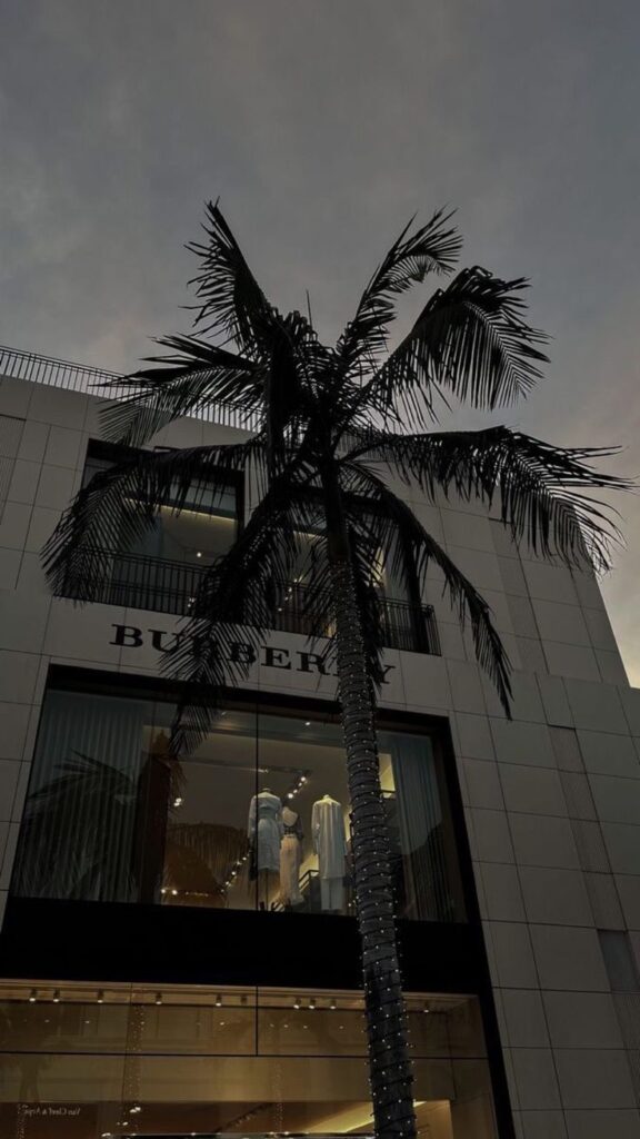 Tall palm tree in front of a luxury fashion store at dusk, showcasing elegant outfits in the window display.