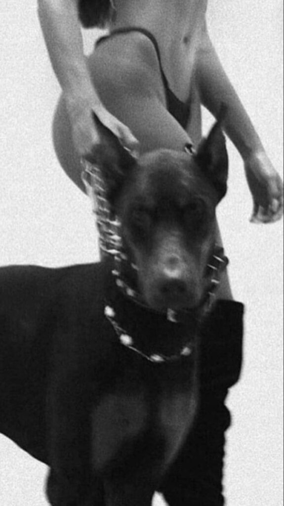 Person with a black dog on a chain leash, monochrome style.
