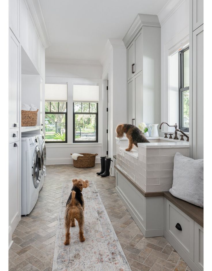 Modern laundry room with washers, wicker basket, two dogs, and a pet washing station. Bright and spacious design.