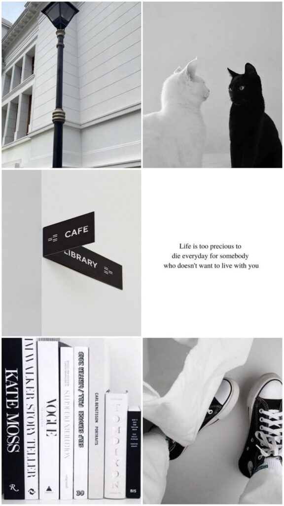 Monochrome collage: lamp post, black and white cats, cafe sign, motivational quote, book stack, person in sneakers.