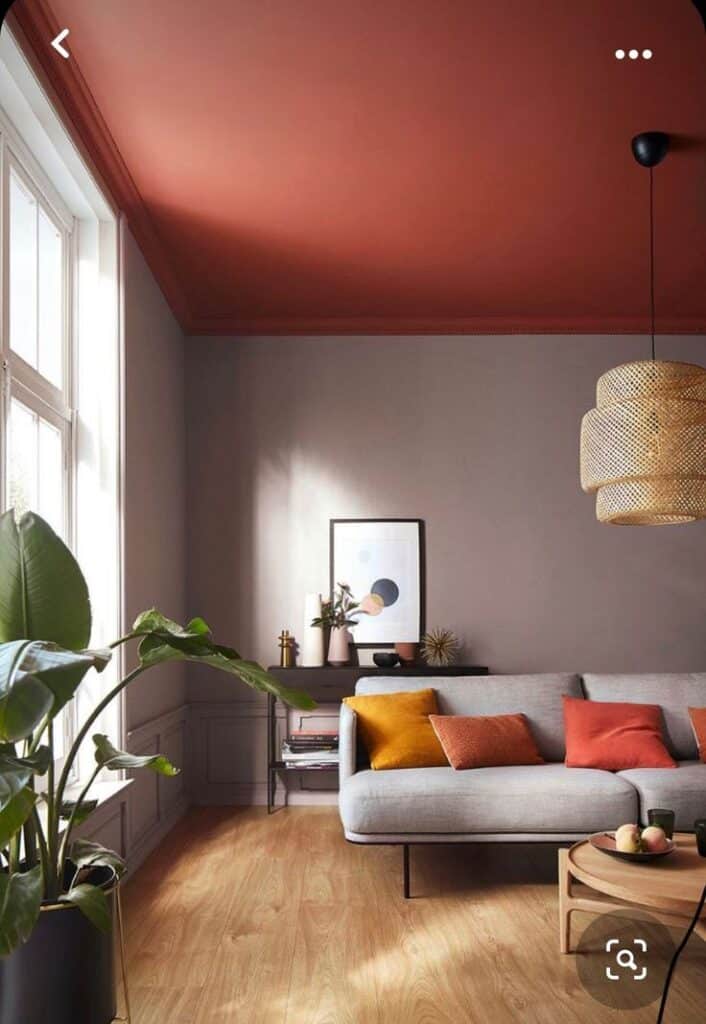 Modern living room with red ceiling, gray sofa, colorful cushions, and large potted plant by the window.