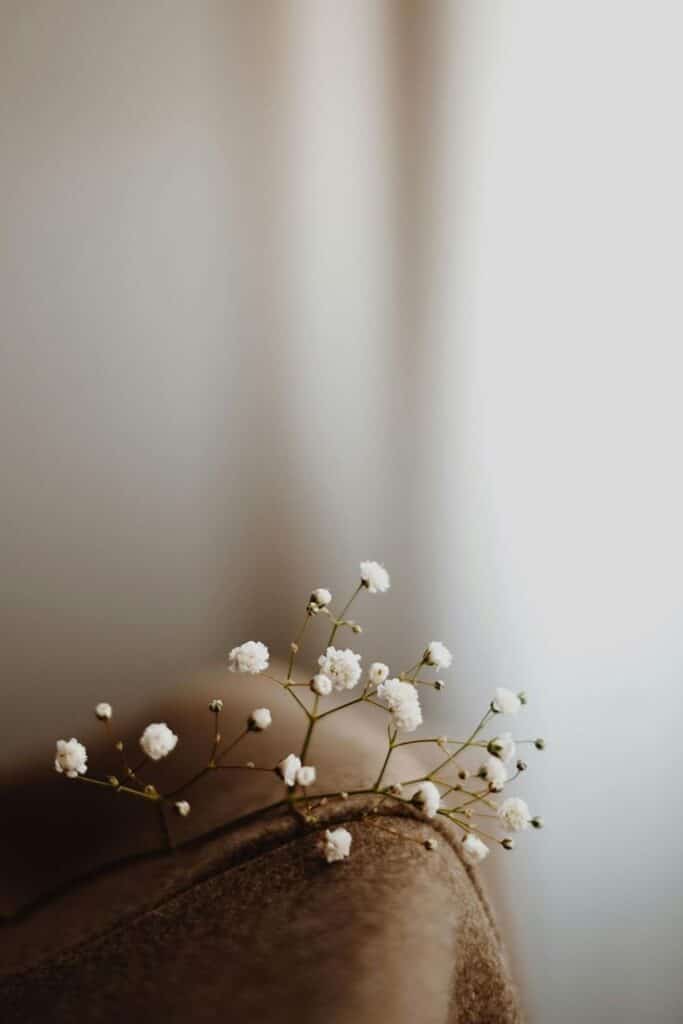 Delicate white baby's breath flowers on a soft brown surface, blurred background for a minimalist aesthetic.