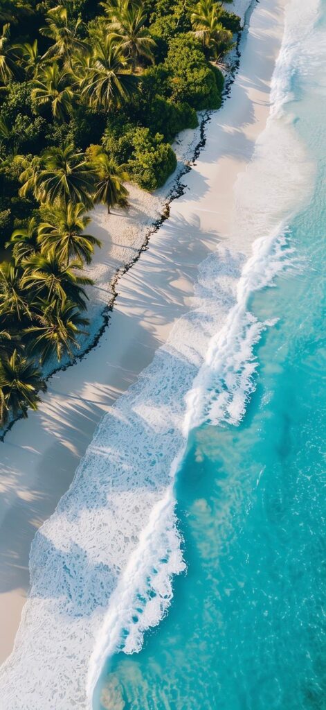 Tropical beach with turquoise waves and palm trees, aerial view of pristine coastline.