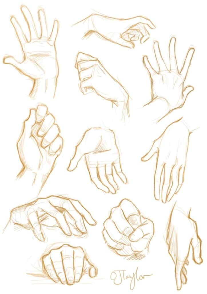 Illustration of various hand gestures, including open palms and fists, perfect for drawing reference.