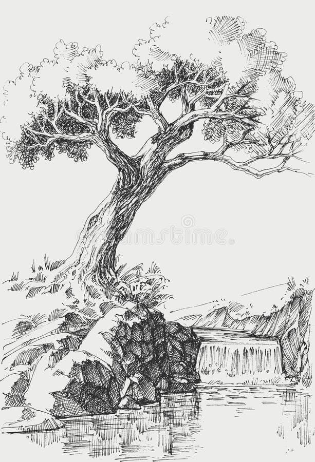 Sketch of a tree by a waterfall and rocky stream, showcasing natural beauty in detailed pen and ink drawing.
