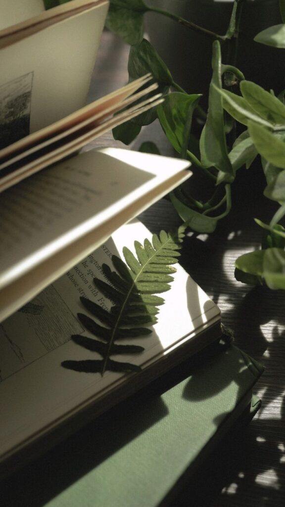Open book with a fern leaf, surrounded by green plants, sunlight casting shadows on pages. Relaxing reading ambiance.