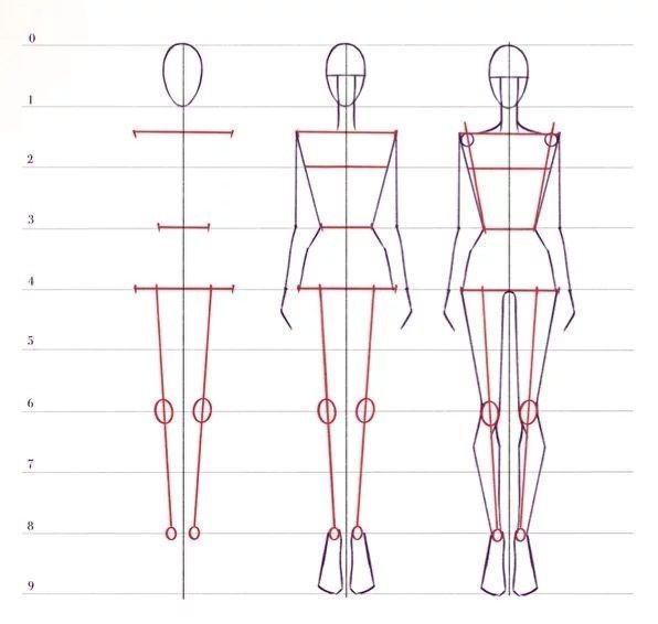 Fashion figure drawing guide showing proportional steps for designing human body templates.