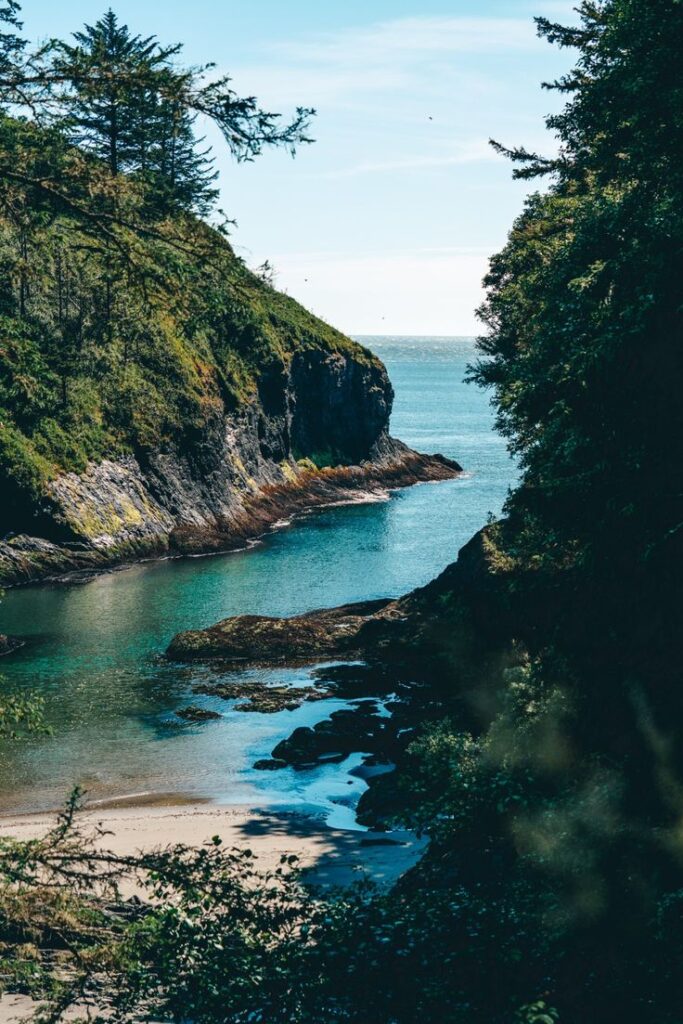 Coastal view of a serene blue bay surrounded by lush green cliffs on a sunny day.