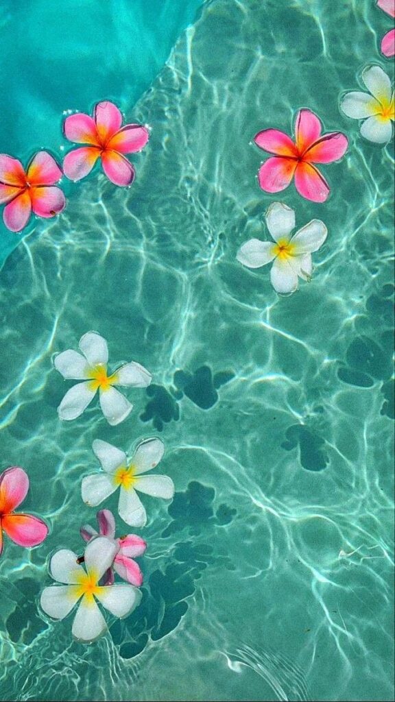 Tropical flowers floating in clear turquoise water, creating a serene and vibrant summer vibe.