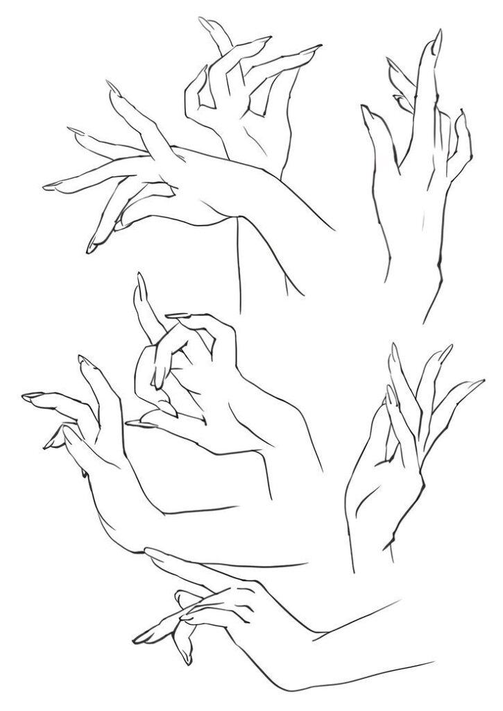 Illustration of elegant hand poses with long nails, showcasing various expressive positions in a line art style.