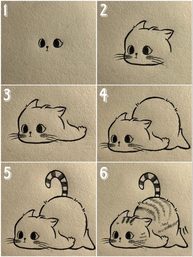 8029e640845fc9148821d9439f57b090 Step-by-step guide on drawing a cute cartoon cat in six stages, from eyes to a detailed striped tail. | Sky Rye Design Step-by-step guide on drawing a cute cartoon cat in six stages, from eyes to a detailed striped tail.