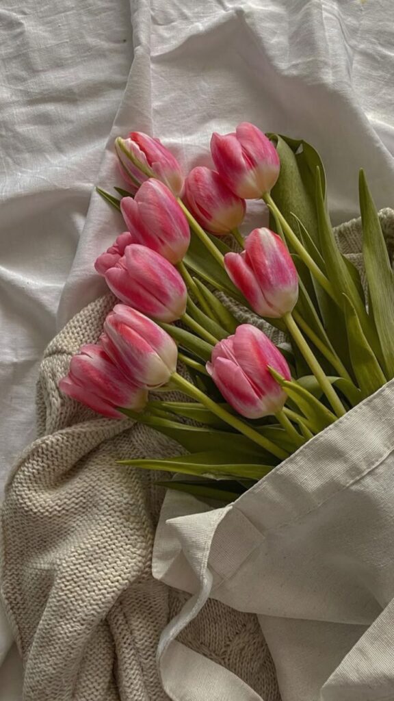 Pink tulips wrapped in a beige cloth on a white fabric background, creating a serene and elegant floral arrangement.