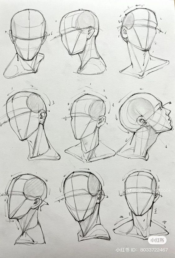 Sketches of nine different head angles for drawing practice, featuring guide lines and shading techniques.