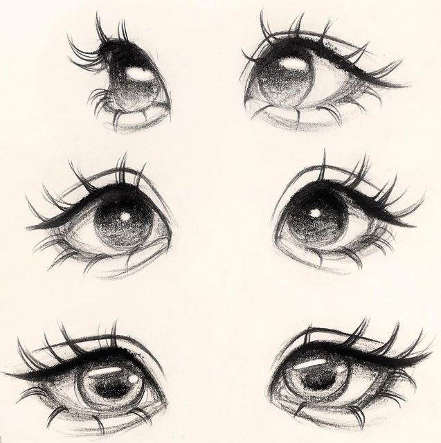 949b4c92-a865-47d0-a91a-b4da0a703380 Pencil sketches of five expressive anime-style eyes with detailed eyelashes on a white background. | Sky Rye Design Pencil sketches of five expressive anime-style eyes with detailed eyelashes on a white background.