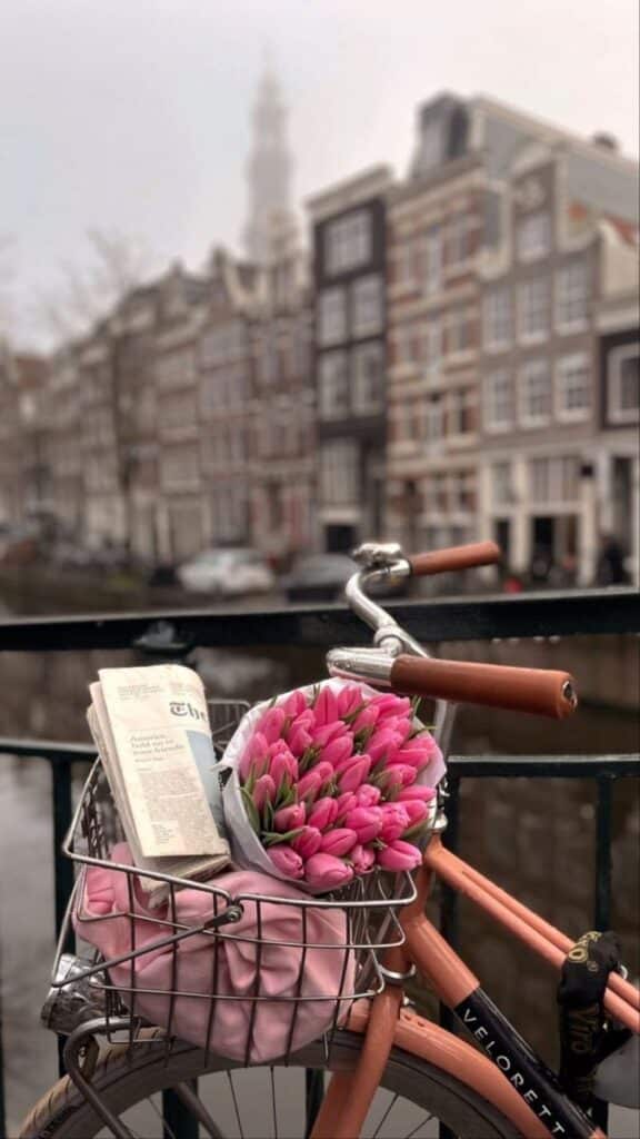 Bicycle with a basket of pink tulips and a newspaper on an Amsterdam canal bridge.