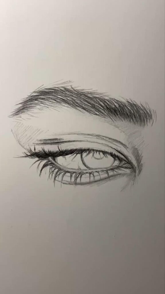 Pencil sketch of a realistic eye with detailed eyelashes and eyebrow on white background.