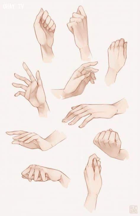 Illustrated hand gestures collection showcasing diverse poses and motions on a white background.