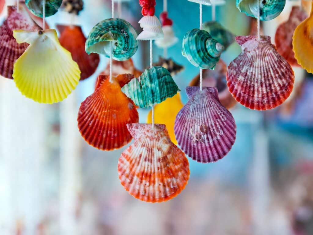 Colorful hanging seashells, vibrant decor for beach-themed settings, close-up view with blurred background.