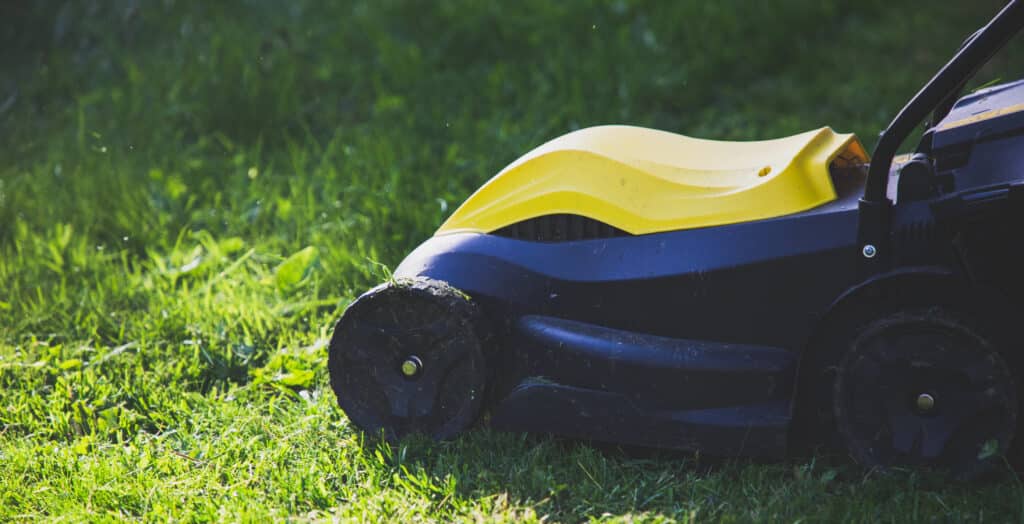 Yellow and black lawnmower cutting lush green grass on a sunny day.