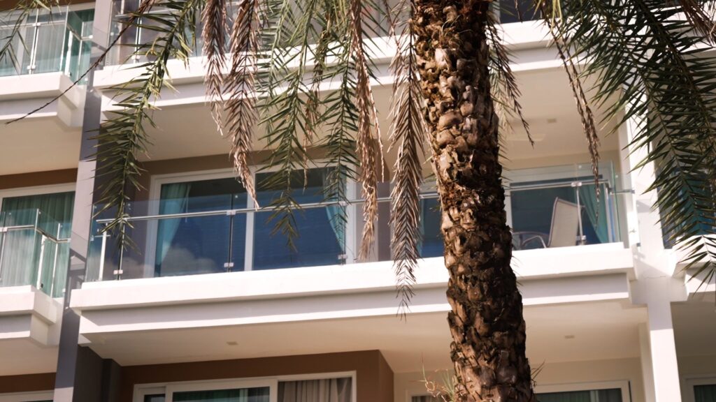 Modern apartment balcony with glass railing, framed by a palm tree, showcasing a tropical, serene setting.