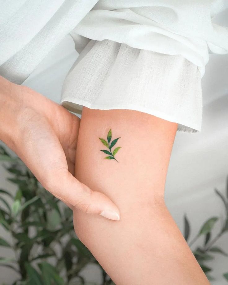 Minimalist leaf tattoo on forearm, close-up. Green leaf design on skin, natural tattoo inspiration.
