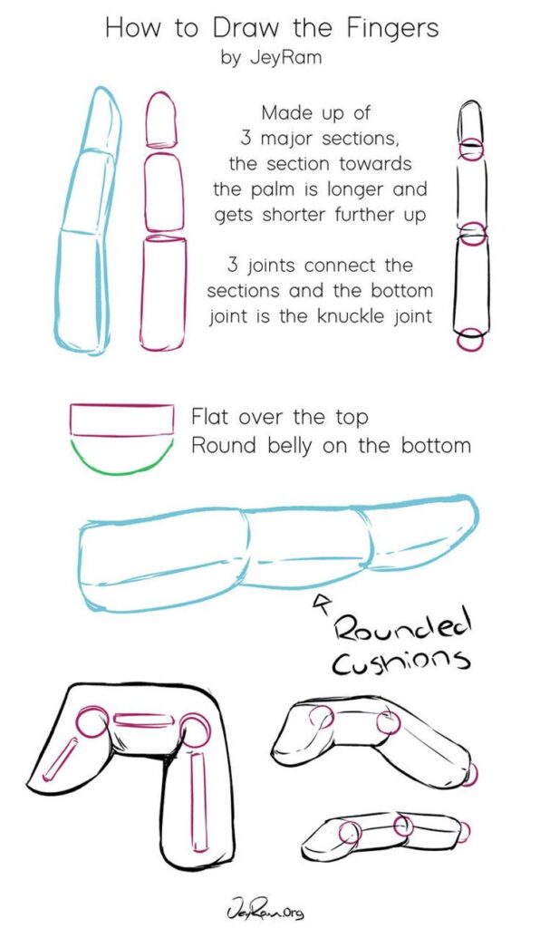 Guide for drawing fingers by JeyRam, detailing sections, joints, and structure with visual illustrations.