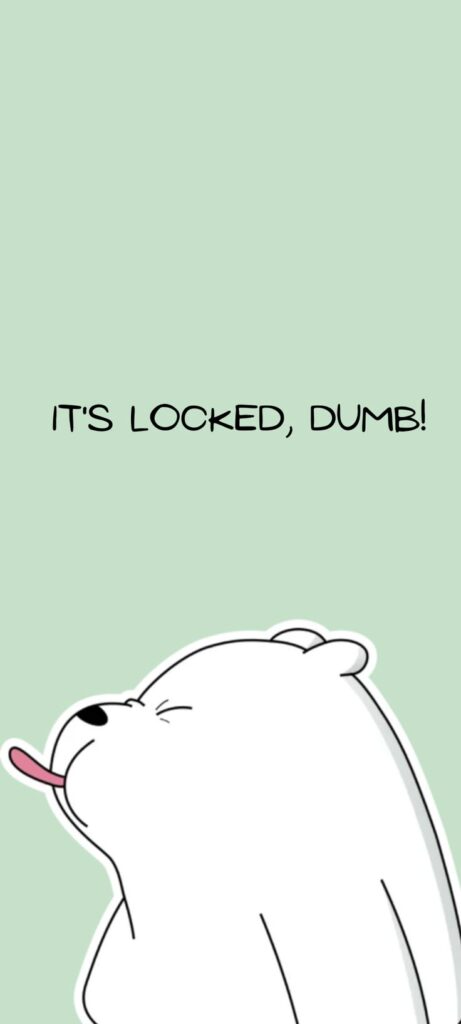 Cartoon bear with tongue out, text It's locked, dumb! on green background.