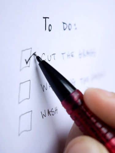 Close-up of a to-do list with tasks in checkboxes and a hand holding a pen, checking off Cut the grass.
