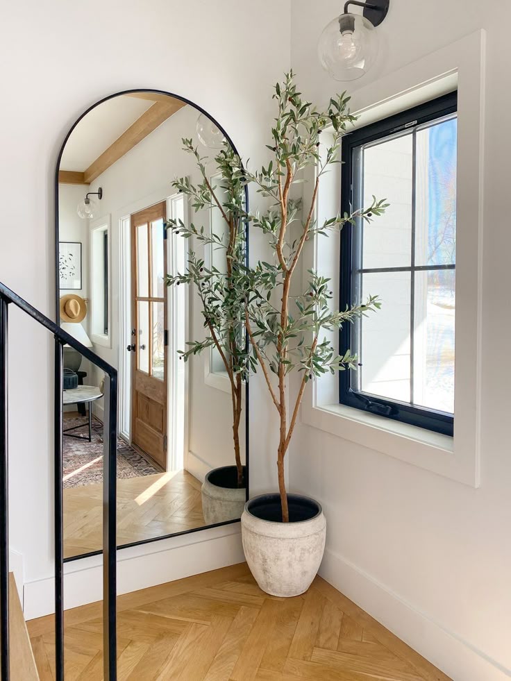 Modern entryway with large mirror, potted plant, and natural light. Minimalist decor enhances airy, stylish space.
