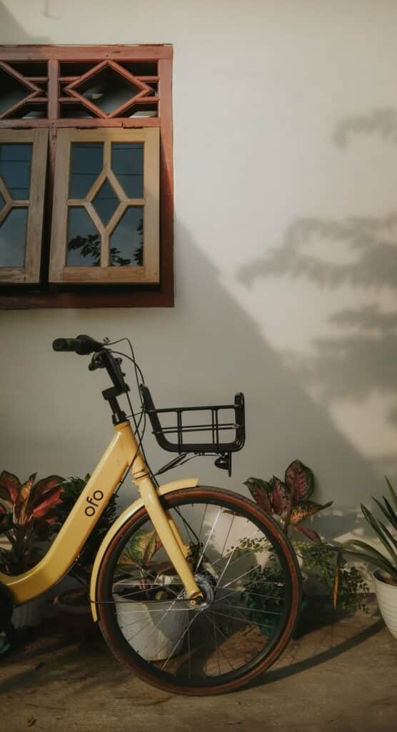 Yellow bike with basket parked near a window, surrounded by potted plants, casting shadows on the wall.