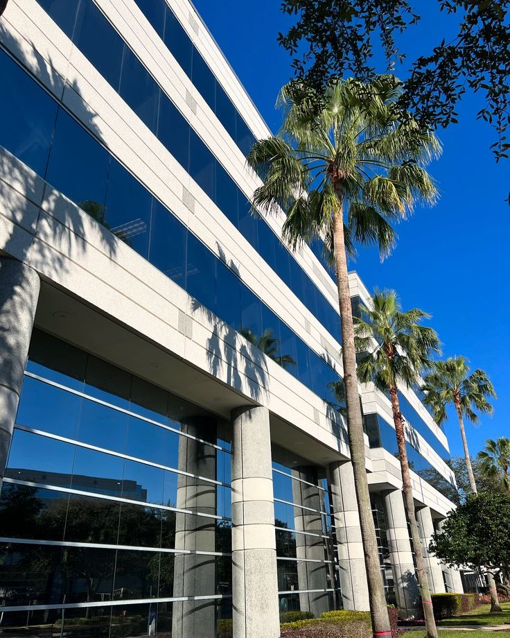 Modern office building with palm trees reflecting in large windows under a clear blue sky.