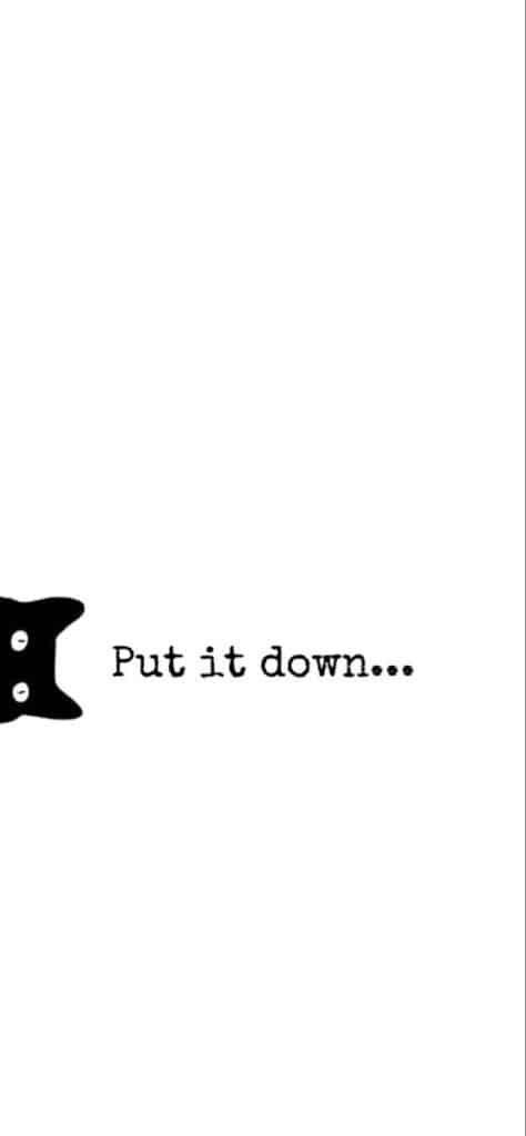 Minimalist image with a black cat peeking, accompanied by text Put it down... in typewriter font on a white background.