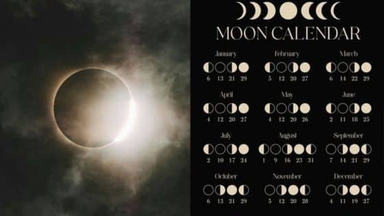 Viewing Deck Blog 1 Solar eclipse next to a moon phase calendar for 2023, illustrating lunar cycles and dates for each month. | Sky Rye Design Solar eclipse next to a moon phase calendar for 2023, illustrating lunar cycles and dates for each month.