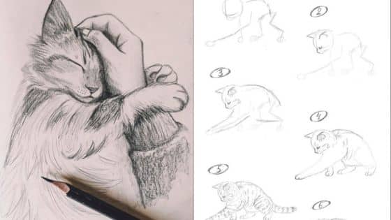 Pencil sketch of a cat being cuddled and step-by-step cat drawing tutorial.