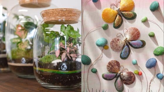 Viewing Deck Blog - 2025-05-28T213829765 Terrariums with plants and seashell butterflies on wall art, showcasing creative home decor and nature-inspired designs. | Sky Rye Design Terrariums with plants and seashell butterflies on wall art, showcasing creative home decor and nature-inspired designs.