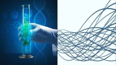 Lab hand with test tube, DNA helix, and digital network lines in a science and technology concept mashup.