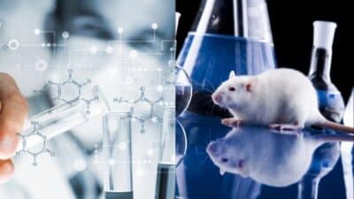 Lab research with test tubes and a white rat, symbolizing scientific experimentation and discovery.