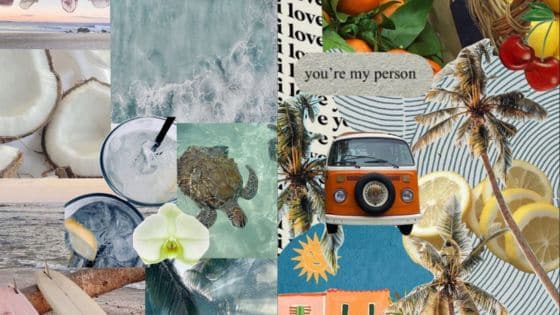 Viewing Deck Blog 41 Tropical collage with ocean waves, a turtle, palm trees, an orange van, and you're my person text. | Sky Rye Design Tropical collage with ocean waves, a turtle, palm trees, an orange van, and you're my person text.
