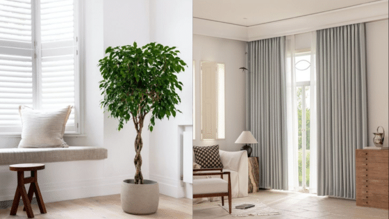 Viewing Deck Blog 9 Modern living room with a potted plant and gray curtains, featuring a cozy bench and minimalist decor. | Sky Rye Design Modern living room with a potted plant and gray curtains, featuring a cozy bench and minimalist decor.