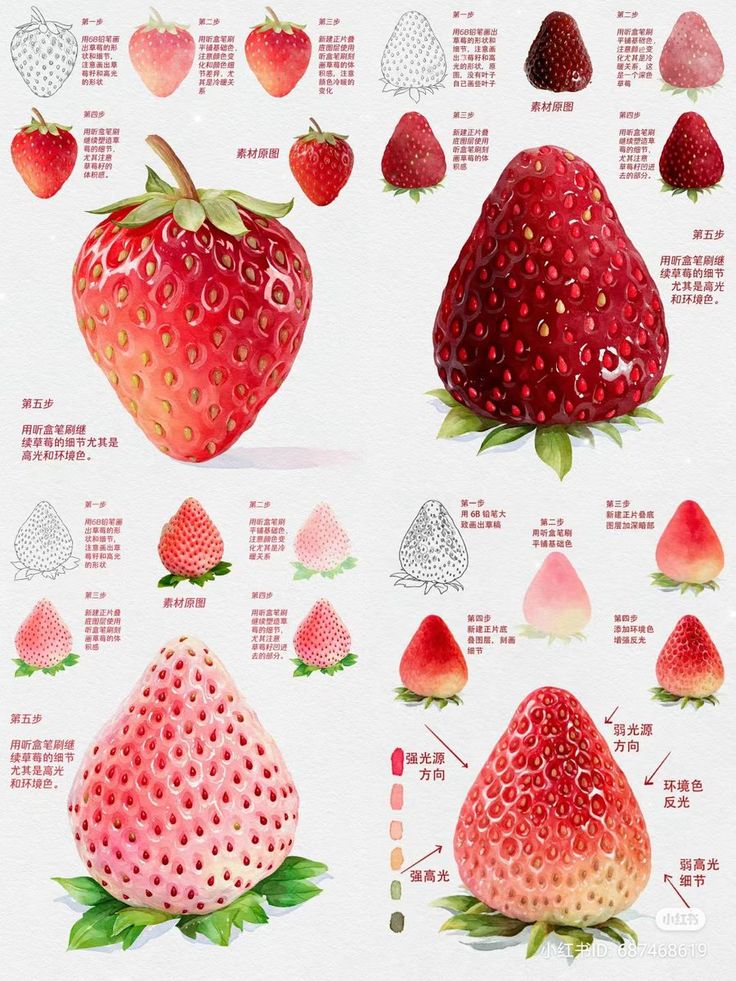 Illustrated guide on painting strawberries with various colors, textures, and shading techniques in step-by-step detail.