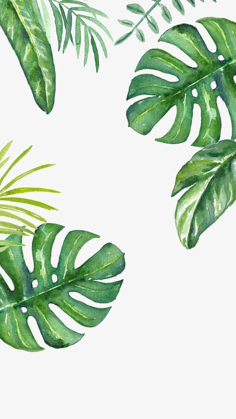 acf361a8f3d262d98f96d40762efa312 Watercolor tropical leaves on a white background, including monstera and palm fronds, creating a botanical design. | Sky Rye Design Watercolor tropical leaves on a white background, including monstera and palm fronds, creating a botanical design.